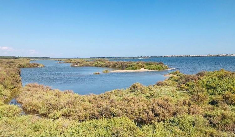 Le Nautica Plage T2 Climatise En Bord De Mer Фронтиньян Экстерьер фото
