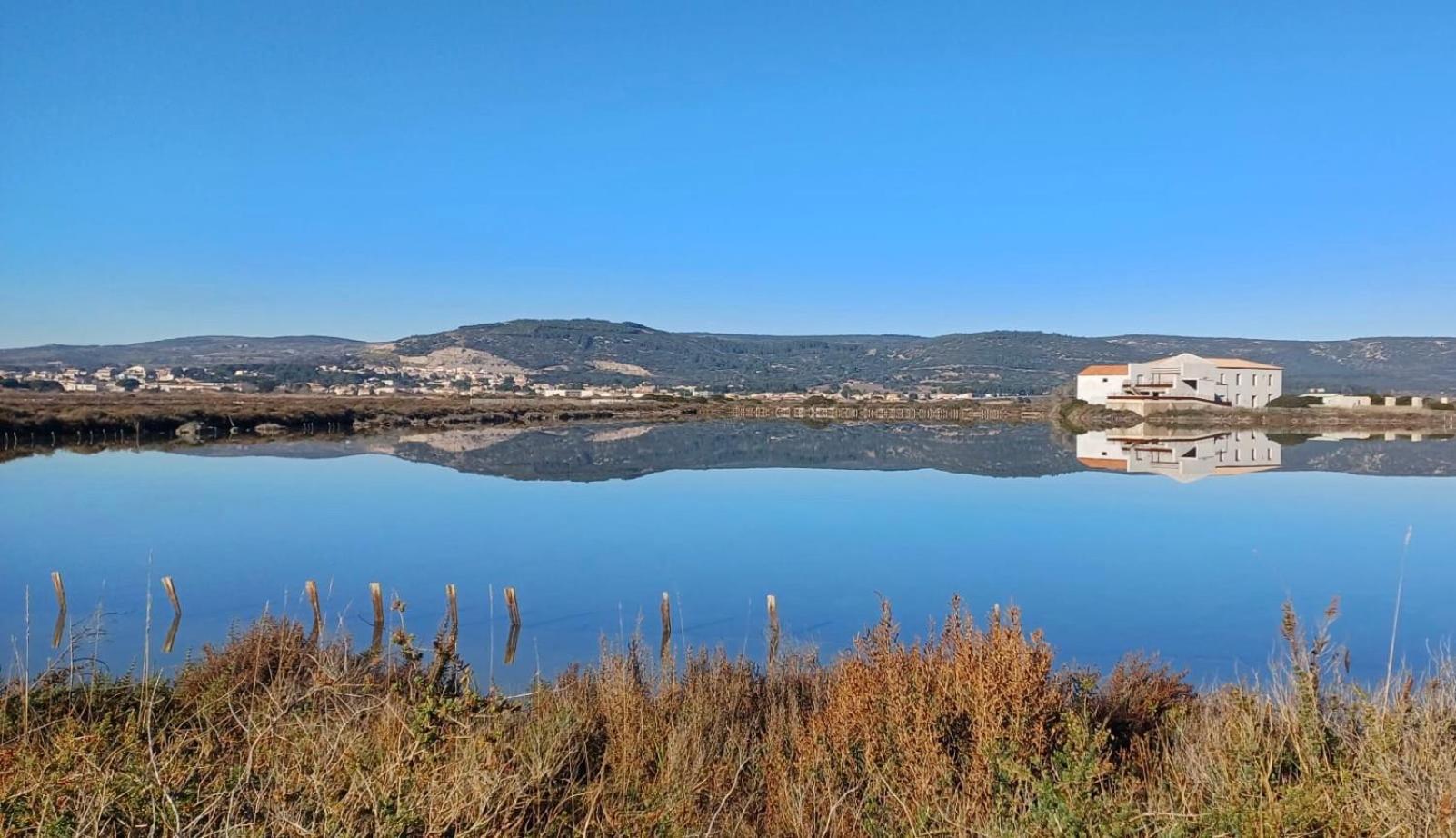 Le Nautica Plage T2 Climatise En Bord De Mer Фронтиньян Экстерьер фото